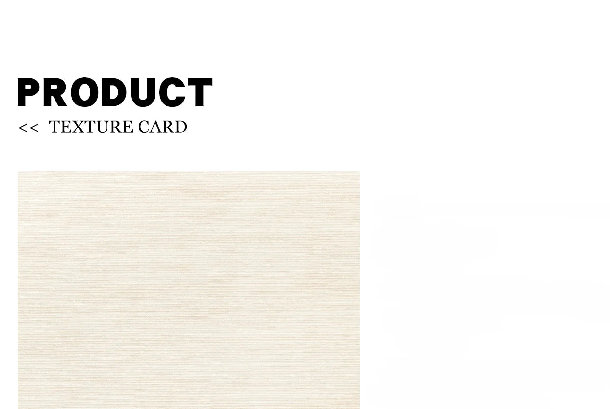Sahara Minimalist Beige Line Area Rug